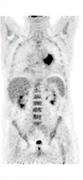 pet3
